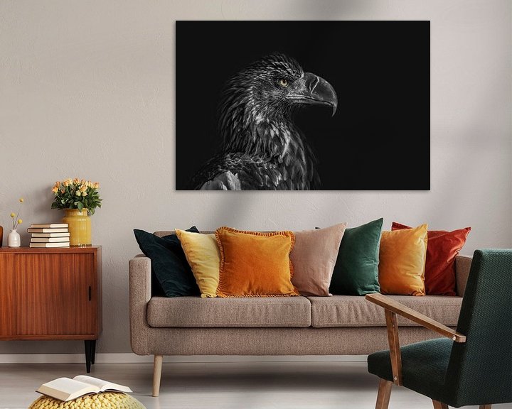 Beispiel: Adlerporträt mit dunklem Hintergrund, Blick nach rechts von Steven Dijkshoorn