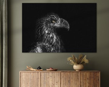 Adler mit dunklem Hintergrund als digitales Gemälde von Digitale Schilderijen