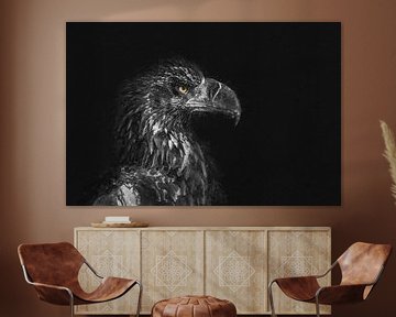 Eagle with dark background as digital painting