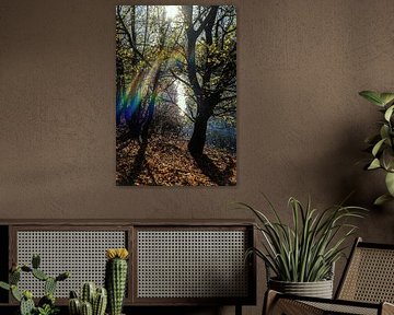 color by richard admiraal