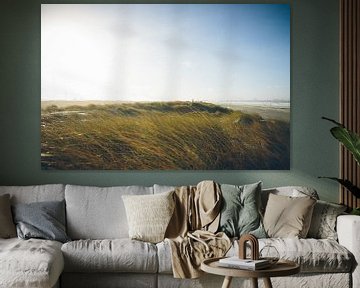 zone de dunes Pays-Bas sur Paul Jespers