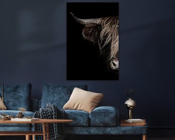 Portret schotse hooglander met donkere achtergrond