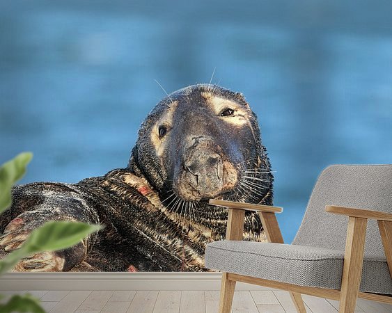 Raumvorschau