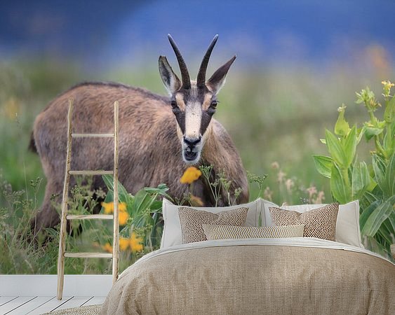 Voorbeeld van het werk in een kamer