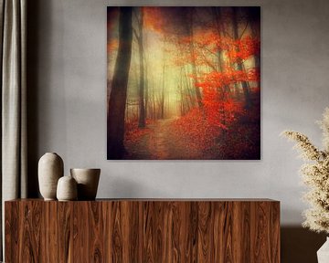 Herbstfeuer - Waldweg in Herbstfarben von Dirk Wüstenhagen