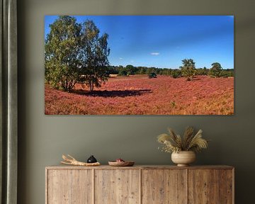 Westrup Heath Panorama