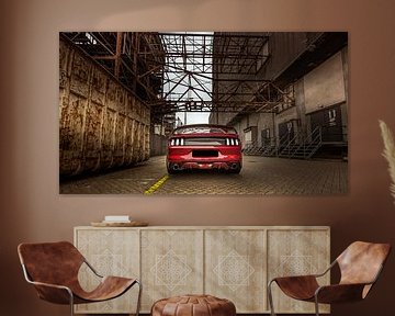 Ford mustang van Danny Akkermans photographic works.