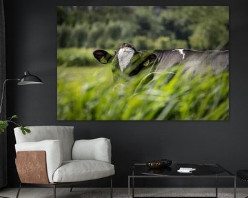 Hollandse koe verscholen in het gras van Jan van Dasler
