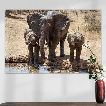 Drinkende olifanten op de Afrikaanse vlaktes