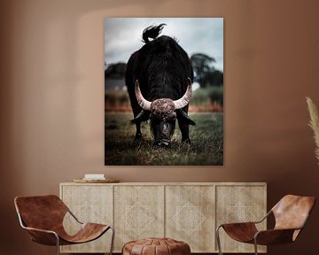 Angry buffalo by Bas Leroy