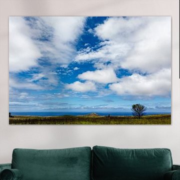 Paysage de l'île de Pâques avec des plaines vertes entourées par l'océan Pacifique, Chili, Pacifique