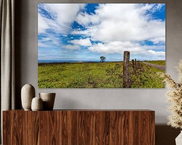 Landschap van Paaseiland met groene vlaktes omringd door de Stille Oceaan, Chili, Pacific van WorldWidePhotoWeb