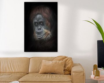Waarderende sympathieke glimlach half omgedraaid. Kalm en slim orang-oetan gezichts close-up portret van Michael Semenov
