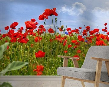Papaver veld van Melanie Viola