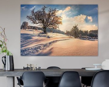 Winterlandschaft von MindScape Photography