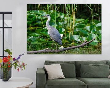 Heron near the water lilies by Bernardine de Laat