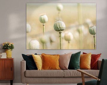 Poppy field in pastel colors by KB Design & Photography (Karen Brouwer)