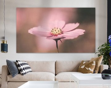 Roze Cosmea bloem in pasteltinten van KB Design & Photography (Karen Brouwer)