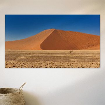 Sossusvlei Namibie (3)