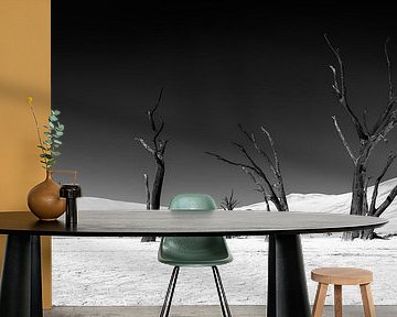 Sossusvlei Namibia (2) in Schwarz und Weiß