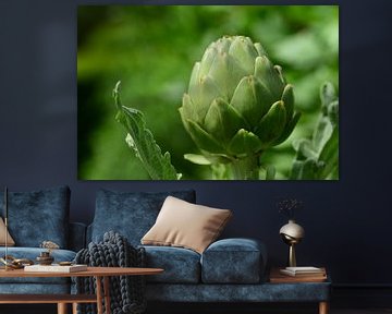 green artichoke by Ulrike Leone