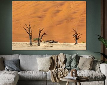 Sossusvlei Namibië (10) van Adelheid Smitt