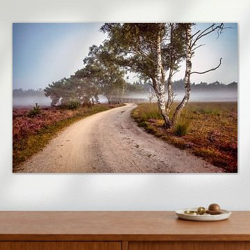 Strabrechtse Heide von Rob Boon