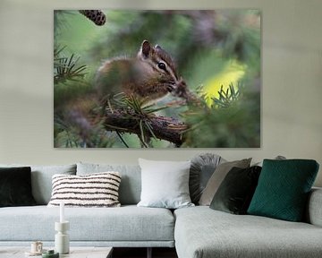 Kanadisches Eichhörnchen von Leon Brouwer