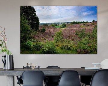 Posbank | Veluwezoom | Purple Heath Hills von Ricardo Bouman