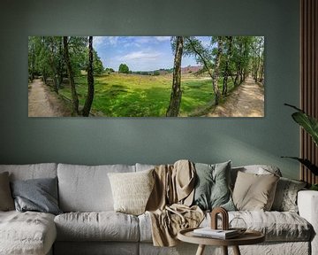 Posbank | Veluwezoom | Panorama van de Paarse Heideheuvels vanuit een  van Ricardo Bouman