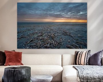 Beach of Terschelling by Stijn Smits