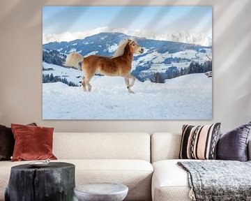 Paard in de sneeuw in de bergen van Oostenrijk van Janny Beimers