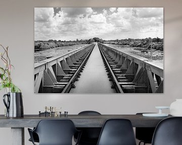 Moerputten Oude spoorbrug Den Bosch in zwartwit van Marianne van der Zee