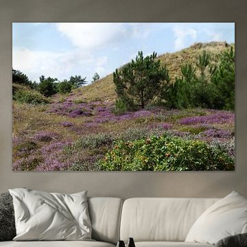 Lila Märchenstraße auf Vlieland