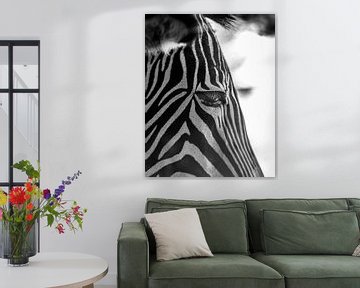 Zebra sur Pim Haring