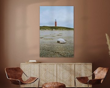 Schelp met de Vuurtoren van Texel in de achtergrond van Pim Haring