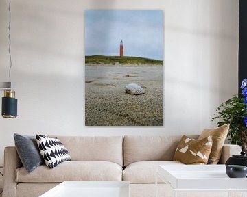 Muschel mit dem Leuchtturm von Texel im Hintergrund von Pim Haring