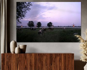The illuminated windmills of Kinderdijk with cows in the foreground by Esther Rook