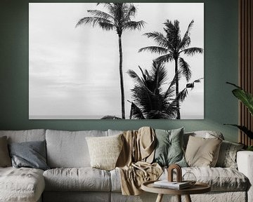 Palmen in Schwarz und Weiß von Suzanne Spijkers