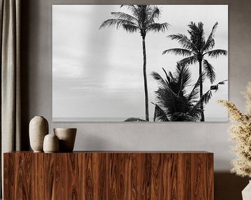 Palmbomen in zwart-wit van Suzanne Spijkers
