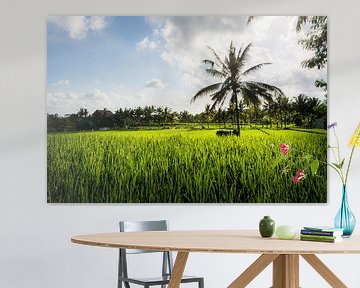 Palmboom in rijstveld van Suzanne Spijkers
