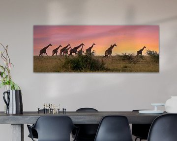 Giraffe (Giraffa camelopardalis), Murchison Falls Nationaal Park, Uganda van Alexander Ludwig
