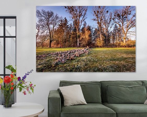 Aperçu de la chambre