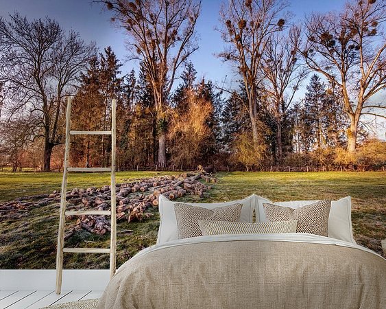 Aperçu de la chambre