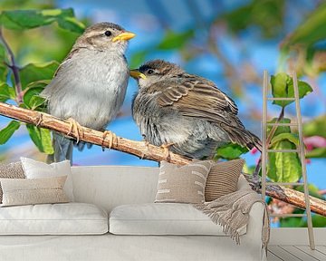 Twee jonge mussen zittend op een tak