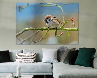 Voorbeeld van het werk in een kamer