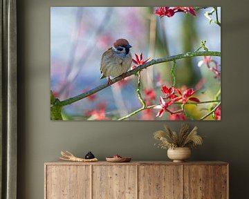 A sparrow sits on a branch by ManfredFotos