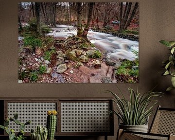 Mountain river Hoëgne in the Ardennes by Rob Boon