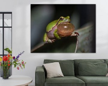 Croak by Bob de Bruin