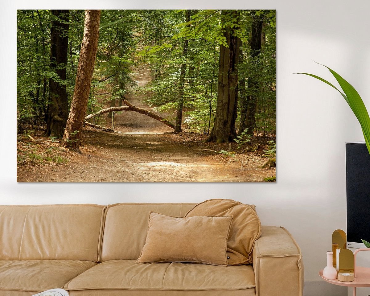 Raumvorschau